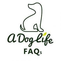 faqs faqs