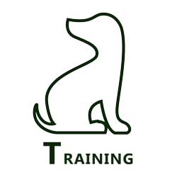 training